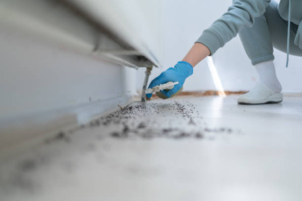 Best Commercial Pest Control Services  in Tonkawa, OK